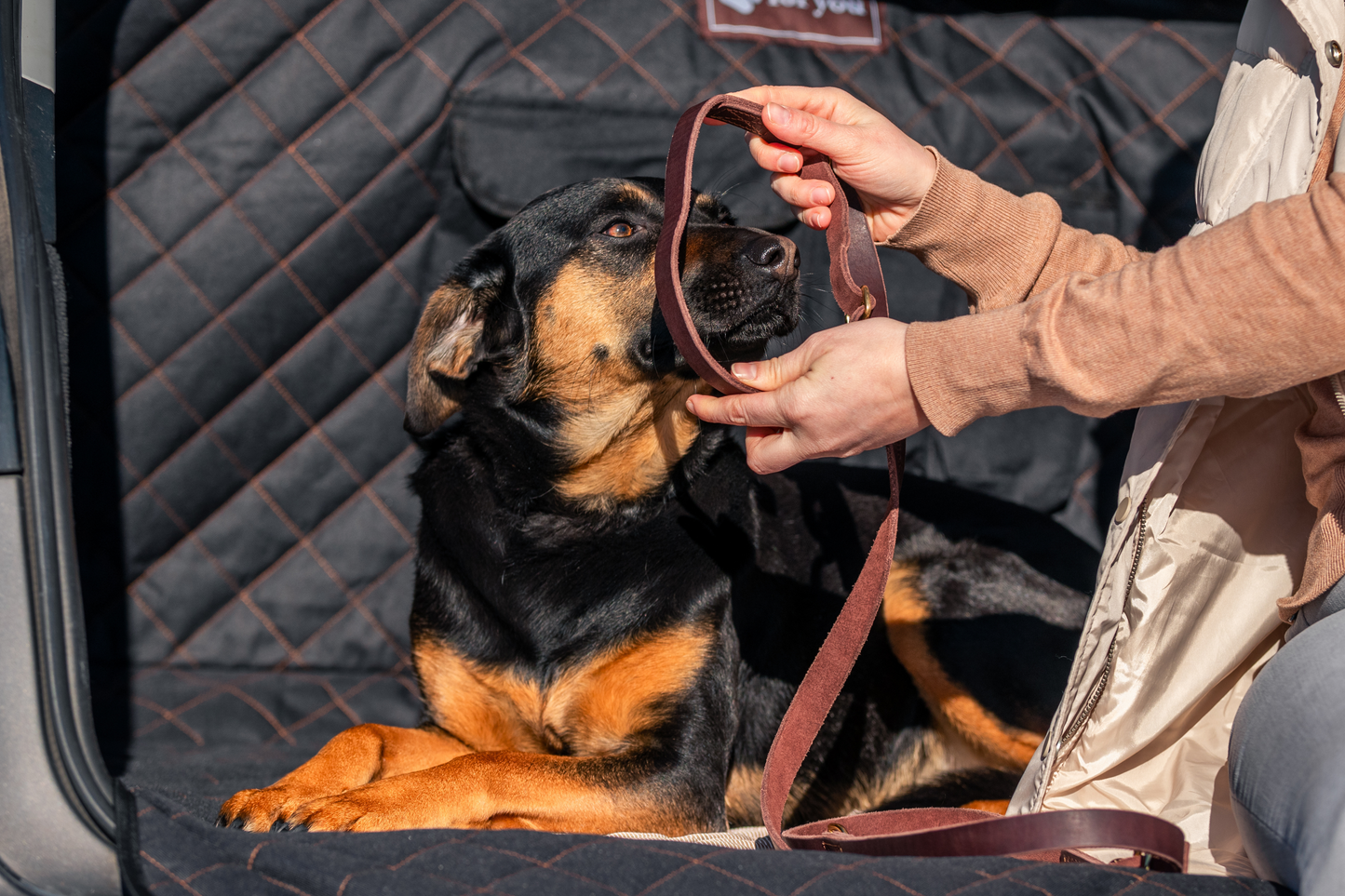foryou® Auto Kofferraumschoner inkl. Hunde Kühldecke - Wasserabweisend und Kratzfest - Premium Qualität - universal
