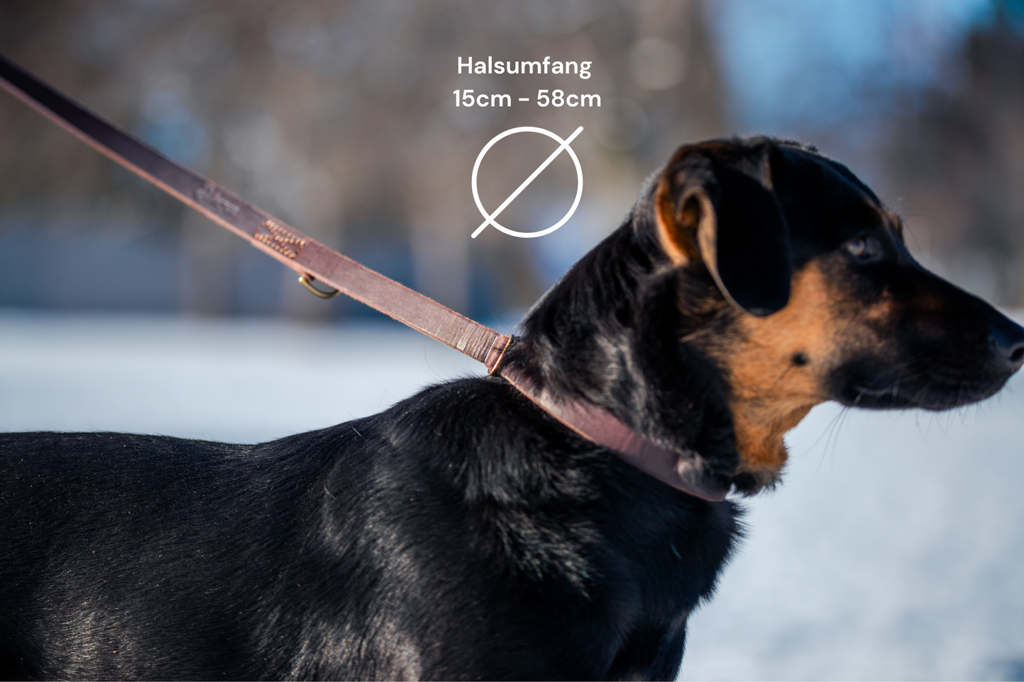 foryou® Jagd Führleine, die perfekte Leder Hundeleine für Jäger - Made in Germany