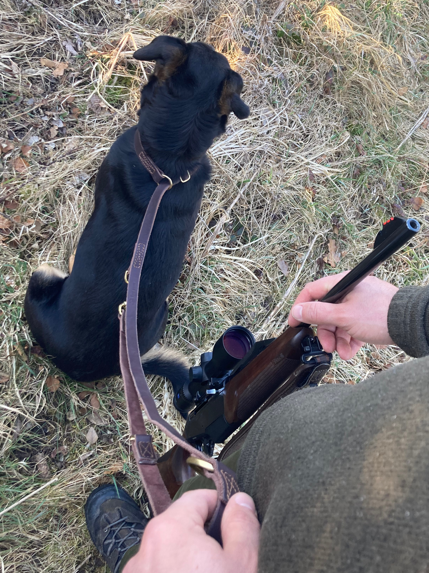 foryou® Jagd Führleine, die perfekte Leder Hundeleine für Jäger - Made in Germany