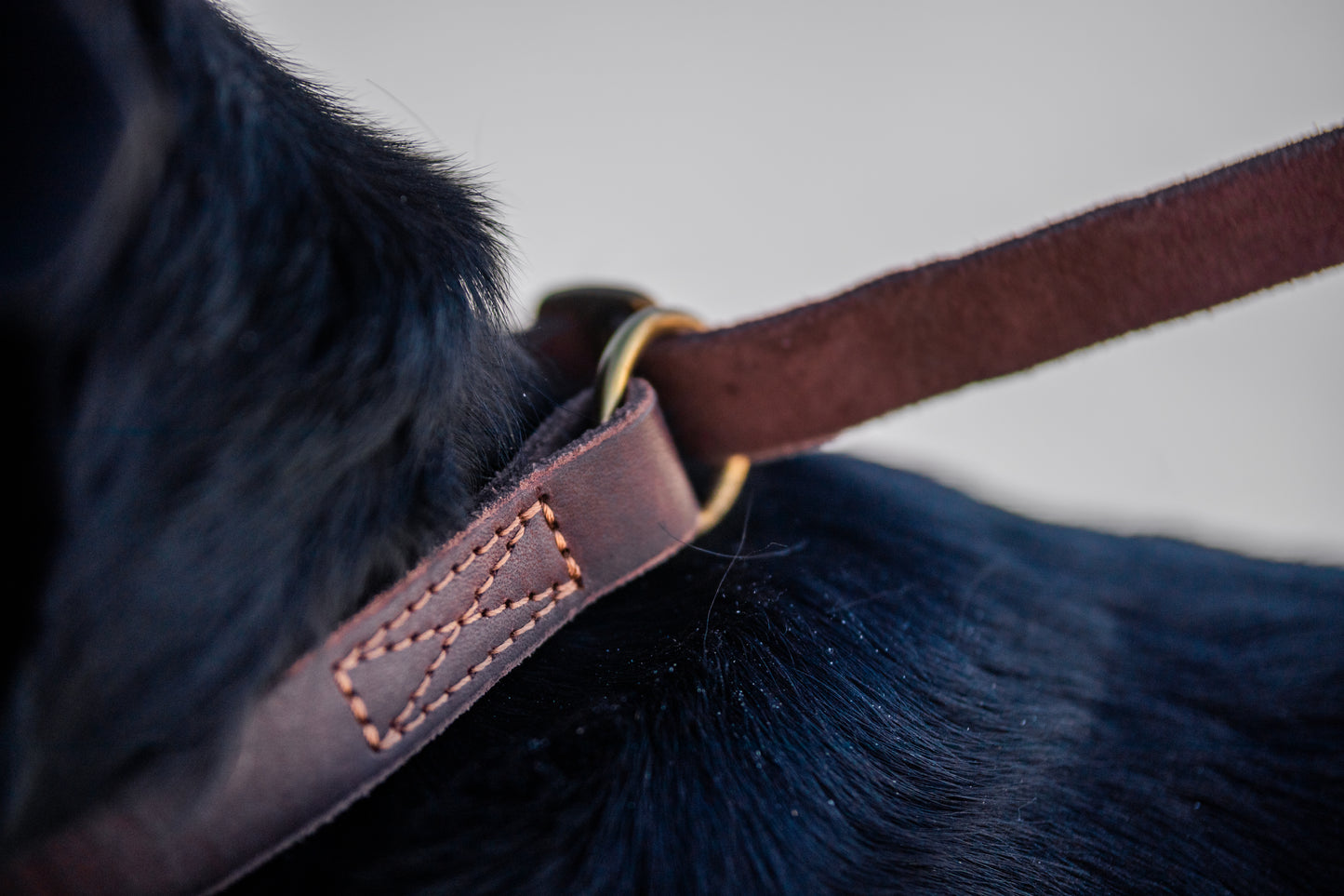 foryou® Jagd Führleine, die perfekte Leder Hundeleine für Jäger - Made in Germany