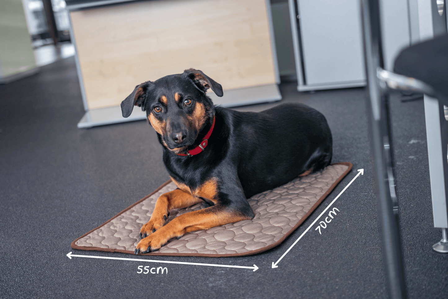 Universaler Kofferraumschoner inkl. Hunde Kühldecke - Wasserabweisend und Kratzfest - Premium Qualität foryou®